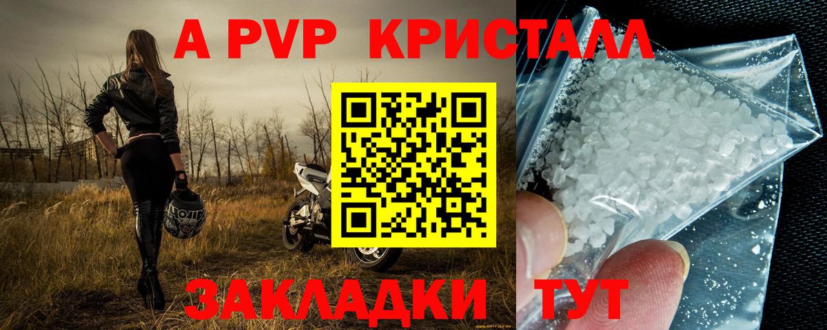 A PVP СК КРИС Химки
