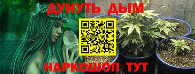 стаф Малгобек